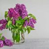 Bouquet Purple Lilac Flowers Glass Vase Diamond Painting