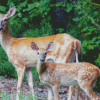 Doe And Fawn Diamond Painting