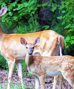 Doe And Fawn Diamond Painting