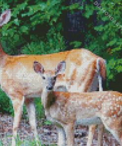 Doe And Fawn Diamond Painting