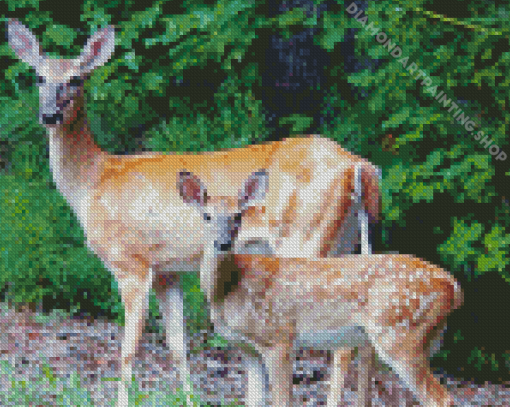 Doe And Fawn Diamond Painting