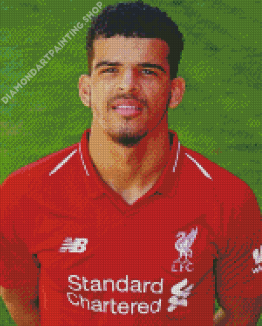 Dominic Solanke Bournemouth Footballer Diamond Painting