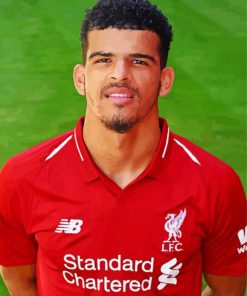 Dominic Solanke Bournemouth Footballer Diamond Painting