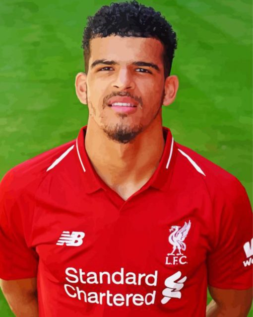 Dominic Solanke Bournemouth Footballer Diamond Painting