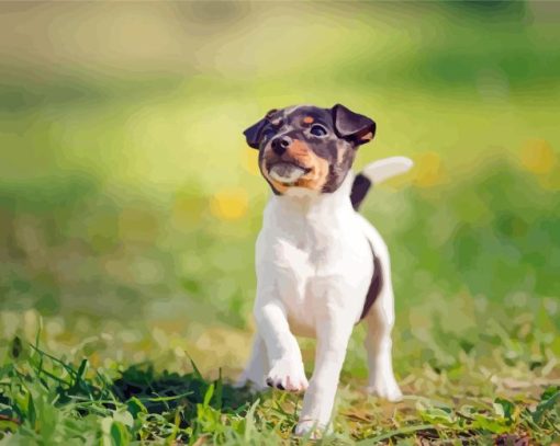 Fox Terrier Puppy In Grass Diamond Painting