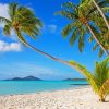 Bora Bora Island Beach Palms Diamond Paintings