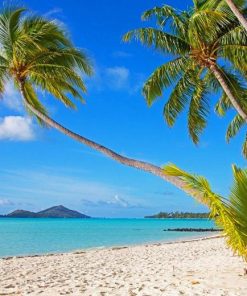 Bora Bora Island Beach Palms Diamond Paintings