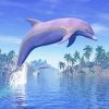 Dolphins In Tropics diamond paintings