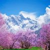 Sakura Tree Over Clouds Diamond Paintings