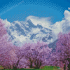 Sakura Tree Over Clouds Diamond Paintings