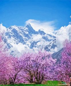 Sakura Tree Over Clouds Diamond Paintings