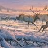 Wolves And Elks Diamond Painting