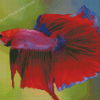 Red Betta Fish Diamond Paintings