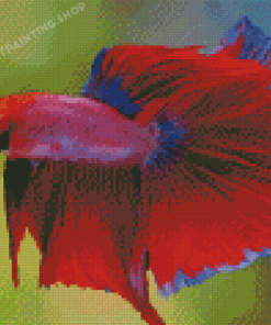 Red Betta Fish Diamond Paintings