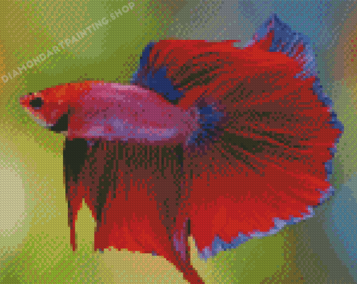 Red Betta Fish Diamond Paintings