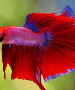 Red Betta Fish Diamond Paintings