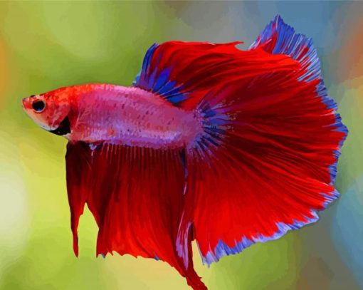 Red Betta Fish Diamond Paintings