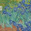 Irises Vincent Van Gogh Diamond Painting