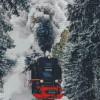 train in snow diamond painting