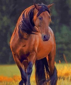 American Quarter Horse Diamond Paintings