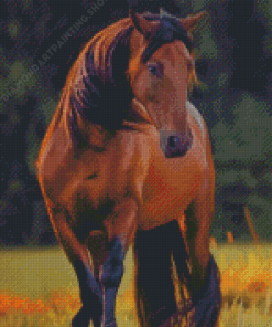 American Quarter Horse Diamond Paintings