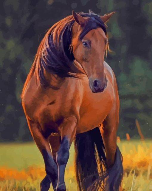 American Quarter Horse Diamond Paintings