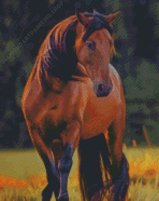 American Quarter Horse Diamond Paintings