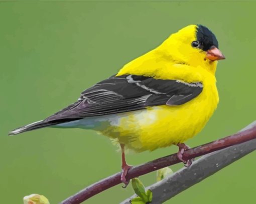 American Goldfinch Bird Diamond Paintings