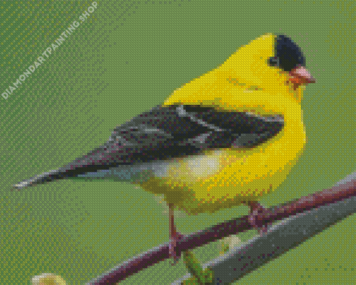 American Goldfinch Bird Diamond Paintings