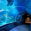 Aquarium Berlin Diamond Paintings