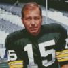 Bart Starr Diamond Paintings