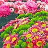 Beautiful Flower Show Diamond Paintings