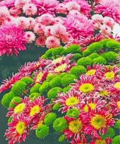 Beautiful Flower Show Diamond Paintings