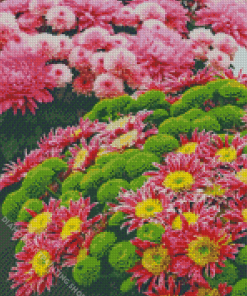 Beautiful Flower Show Diamond Paintings