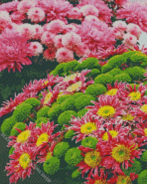 Beautiful Flower Show Diamond Paintings