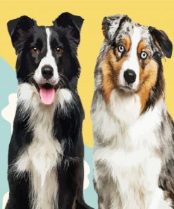 Australian Shepherd Diamond Paintings