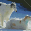 Borzoi Dogs Diamond Paintings