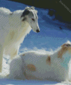 Borzoi Dogs Diamond Paintings