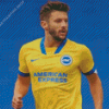 Brighton And Hove Albion Diamond Paintings