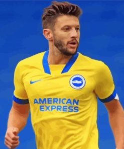 Brighton And Hove Albion Diamond Paintings