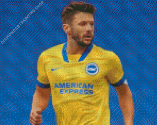 Brighton And Hove Albion Diamond Paintings