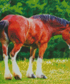 Clydesdale Horse Diamond Paintings