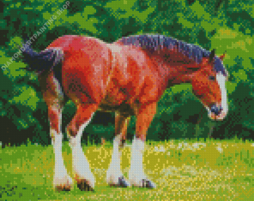 Clydesdale Horse Diamond Paintings