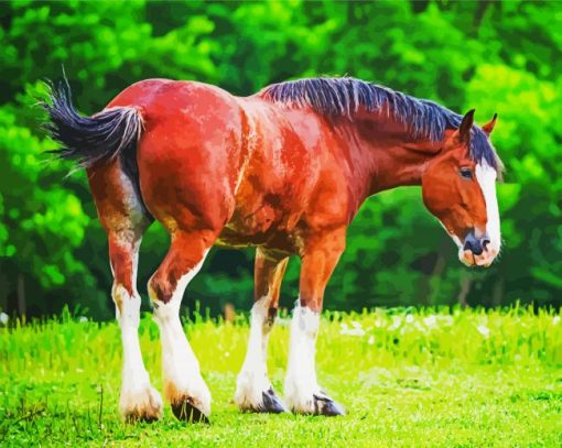 Clydesdale Horse Diamond Paintings