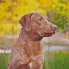 Chesapeake Retriever Dog Diamond Paintings