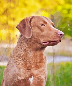 Chesapeake Retriever Dog Diamond Paintings