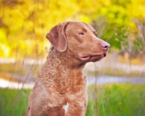 Chesapeake Retriever Dog Diamond Paintings