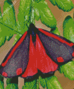 Cinnabar Moth Diamond Paintings