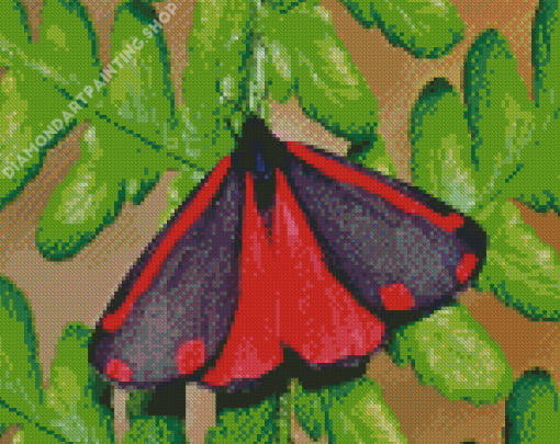 Cinnabar Moth Diamond Paintings