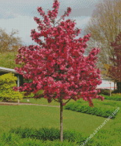 Crabapple Tree Diamond Paintings